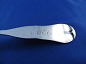 17. Coin Silver,Henry Webster & Co.